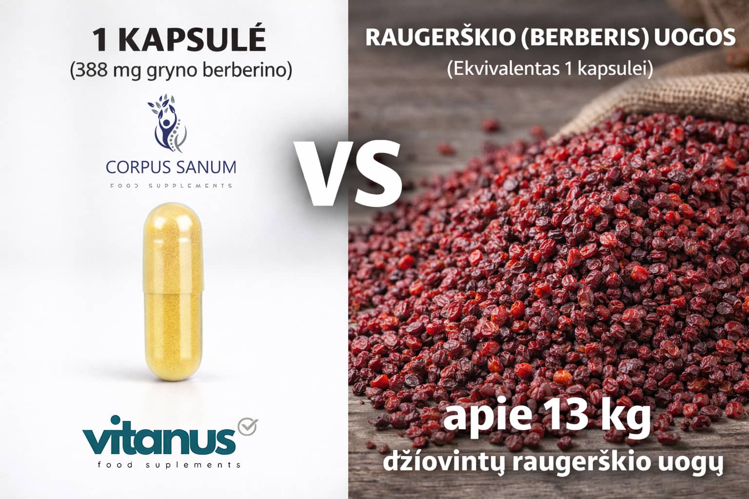 Corpus Sanum Berberino koncentracijos palyginimas
