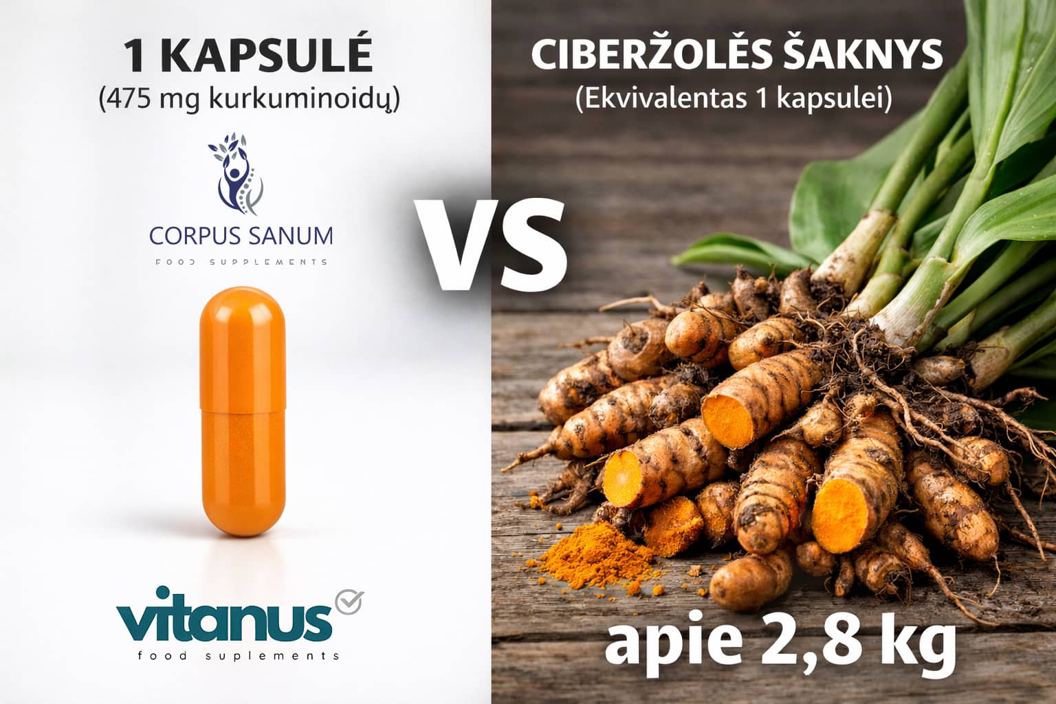 Corpus Sanum Ciberžolės koncentracijos palyginimas