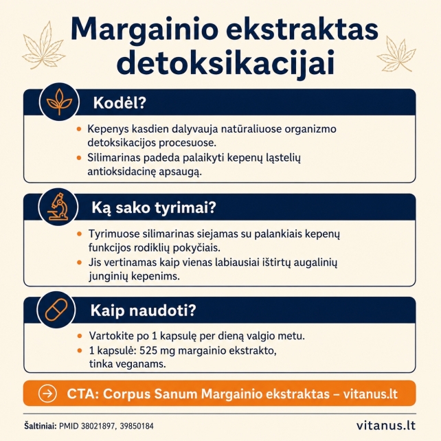 Margainio ekstraktas detoksikacijai: kaip silimarinas palaiko natūralią kepenų apsaugą?